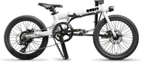 20 inches 7 Gear Lithium-ion (Li-ion) Electric Cycle