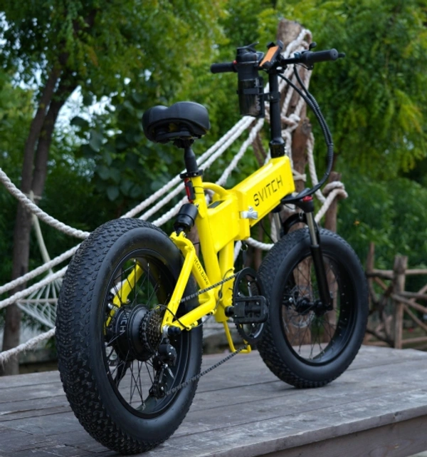 20 inches 7 Gear Lithium-ion (Li-ion) Electric Cycle