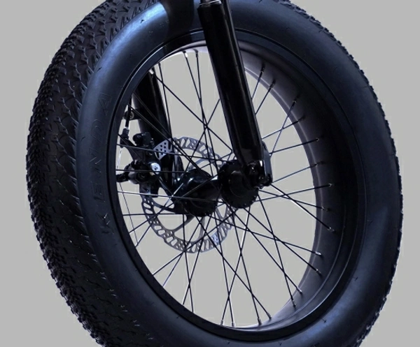 20 inches 7 Gear Lithium-ion (Li-ion) Electric Cycle
