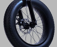 20 inches 7 Gear Lithium-ion (Li-ion) Electric Cycle