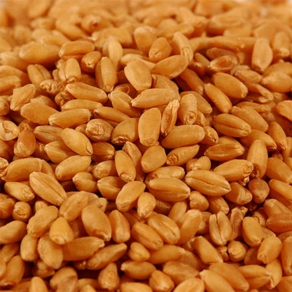 Sharbati Premium Wheat Atta  - 5 Kg