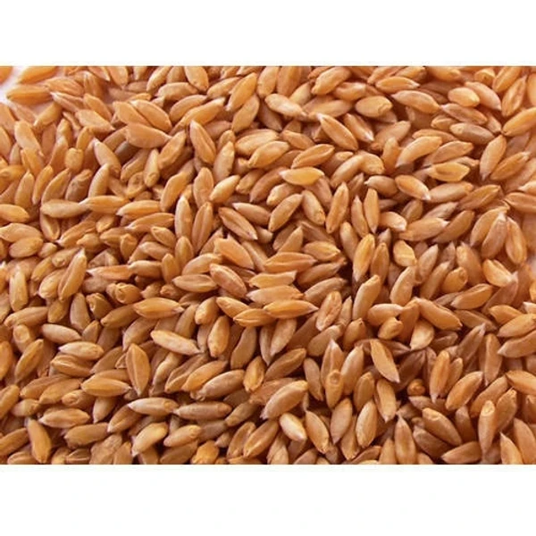 Farmi Sharbati Special Wheat Atta -5 Kg