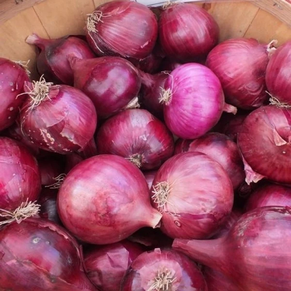 Onion- (Pyaj) -1Kg