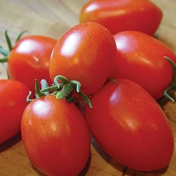 Tamatar Hybrid- 1 Kg (Approx Weight)