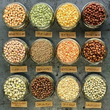 Pulses And Others