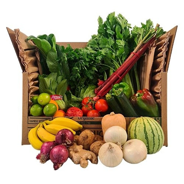 FARMER'S PICK                            Capsicum, Onion, Jalapeno,baby Corn  - Large