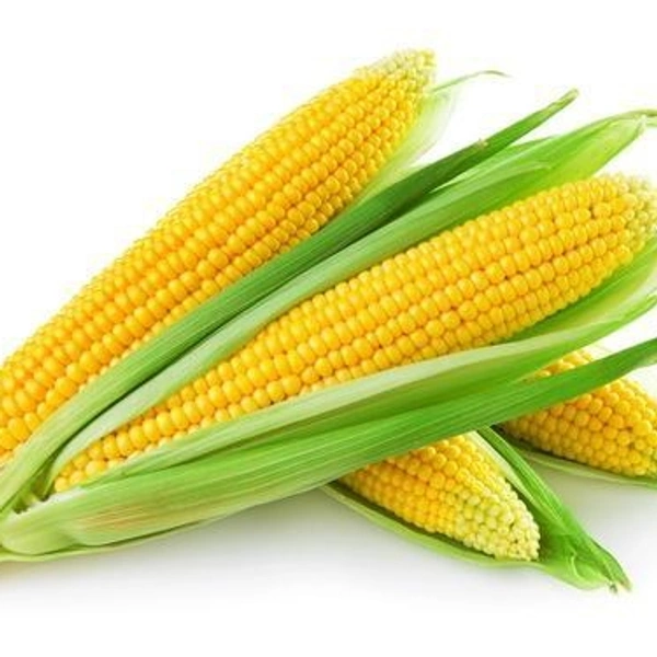 Sweet Corn  - Half