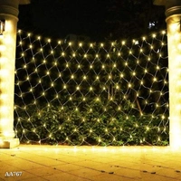 Net Curtain Light**Net curtain light. 240 led bulbus. Height 7 ft. Length 10 ft. Plug in. Extension point. 8 changeable modes.* - multicolored