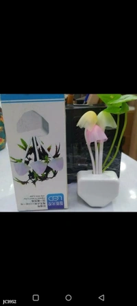 mushroom light*🍄Mushroom light lamp with night / darkness sensor available