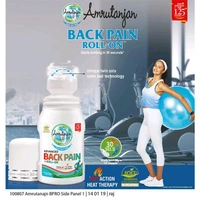 Amrutanjan Advanced Back Pain Roll-On, 50ml