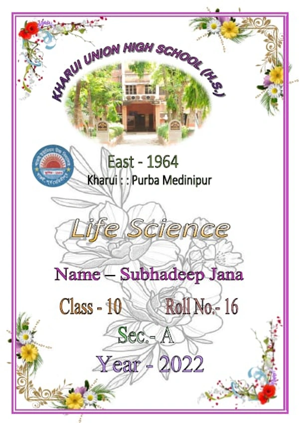 School Font Page Style #3