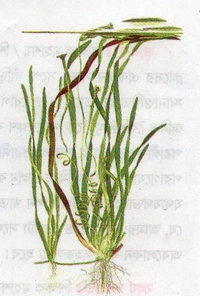 Life Science Project Image's 2022