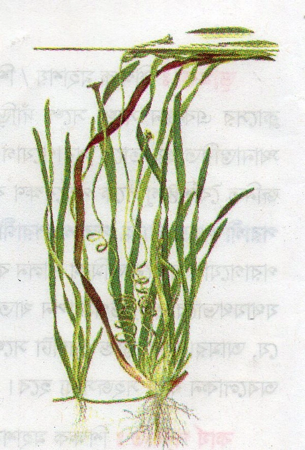 Life Science Project Image's 2022