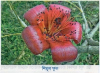 Life Science Project Image's 2022