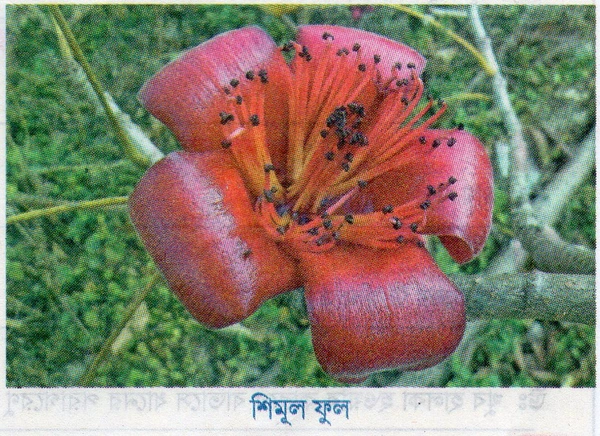 Life Science Project Image's 2022