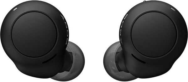 Sony WF-C500 Bluetooth Truly Wireless in Ear Earbuds with 20 Hrs Battery, True Wireless Earbuds with Mic for Phone Calls, Fast Pair  - Black