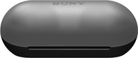 Sony WF-C500 Bluetooth Truly Wireless in Ear Earbuds with 20 Hrs Battery, True Wireless Earbuds with Mic for Phone Calls, Fast Pair  - Black