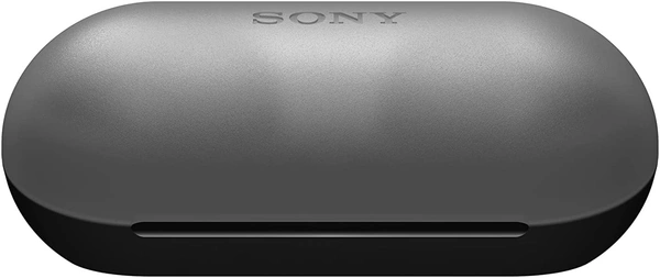 Sony WF-C500 Bluetooth Truly Wireless in Ear Earbuds with 20 Hrs Battery, True Wireless Earbuds with Mic for Phone Calls, Fast Pair  - Black