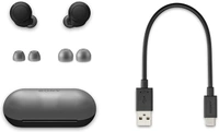 Sony WF-C500 Bluetooth Truly Wireless in Ear Earbuds with 20 Hrs Battery, True Wireless Earbuds with Mic for Phone Calls, Fast Pair  - Black