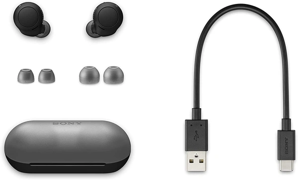 Sony WF-C500 Bluetooth Truly Wireless in Ear Earbuds with 20 Hrs Battery, True Wireless Earbuds with Mic for Phone Calls, Fast Pair  - Black