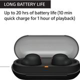 Sony WF-C500 Bluetooth Truly Wireless in Ear Earbuds with 20 Hrs Battery, True Wireless Earbuds with Mic for Phone Calls, Fast Pair  - Black