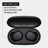 Sony WF-XB700 Bluetooth Truly Wireless in Ear Earbuds with 18 Hours Battery Life, Extra Bass with Mic for Phone Calls, Quick Charge, BT Ver 5.0 (Black)