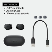 Sony WF-XB700 Bluetooth Truly Wireless in Ear Earbuds with 18 Hours Battery Life, Extra Bass with Mic for Phone Calls, Quick Charge, BT Ver 5.0 (Black)