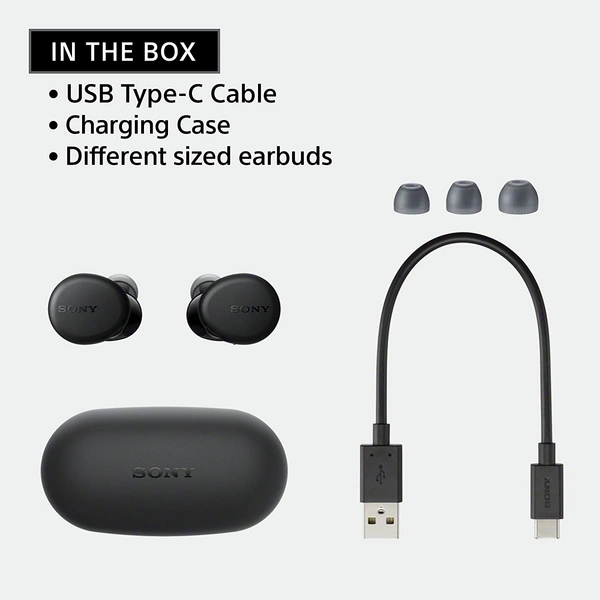 Sony WF-XB700 Bluetooth Truly Wireless in Ear Earbuds with 18 Hours Battery Life, Extra Bass with Mic for Phone Calls, Quick Charge, BT Ver 5.0 (Black)
