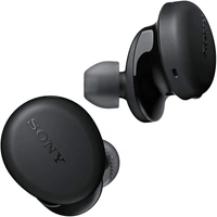 Sony WF-XB700 Bluetooth Truly Wireless in Ear Earbuds with 18 Hours Battery Life, Extra Bass with Mic for Phone Calls, Quick Charge, BT Ver 5.0 (Black)