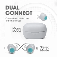 JBL C115 True Wireless in Ear Earbuds with Mic, Jumbo 21 Hours Playtime with Quick Charge, True Bass, Dual Connect, Bluetooth 5.0, Type C and Voice Assistant Support for Mobile Phones (Mint)