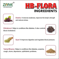 HB FLORA SYRUP (1*200ML)