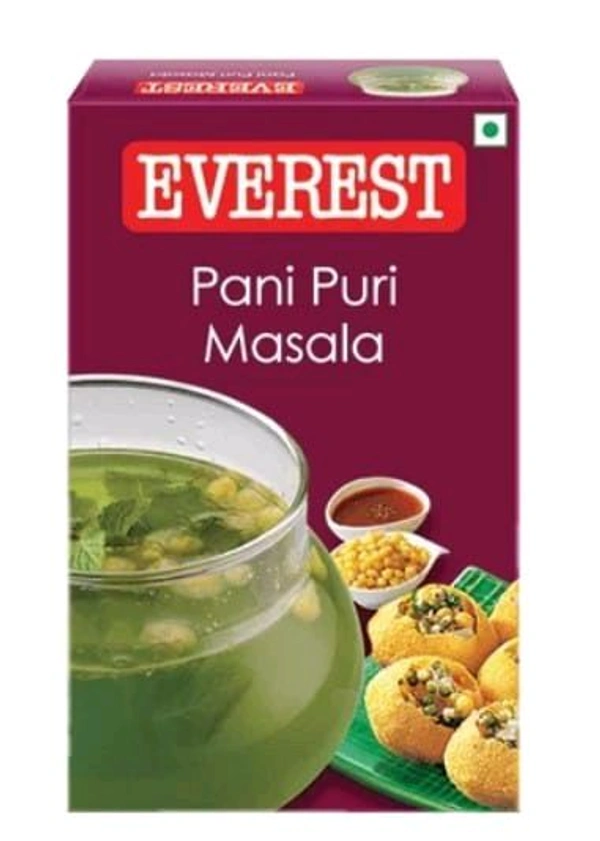 Everest Pani Puri (Puchka) Masala - 50gm.