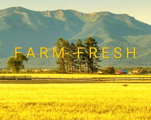 Farm Fresh Prime Kebab Chini 100gm.