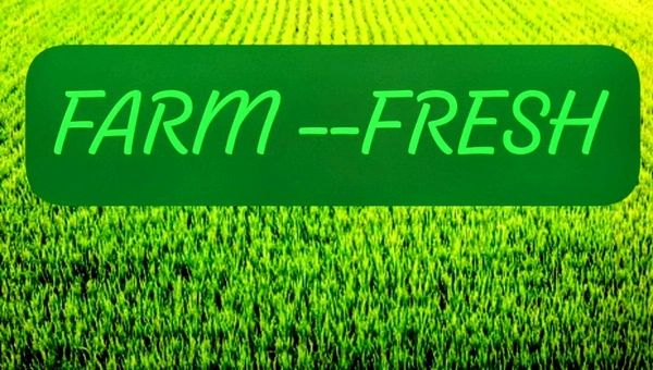 Farm Fresh Prime Moong Dal (Dhuli) - 1 Kg.