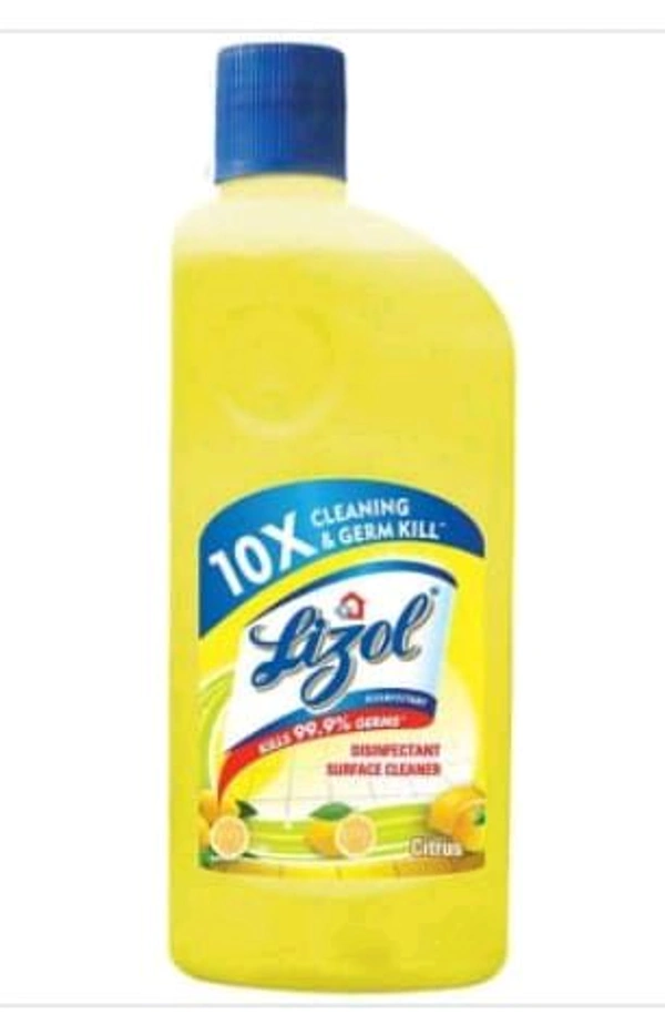 Lizol Disinfectant Citrus Floor Cleaner 500ml.