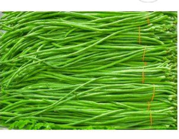 Farm Fresh Long Green Beans /बरबटी 500gm.