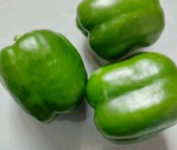 Farm Fresh Capsicum Green 500gm.