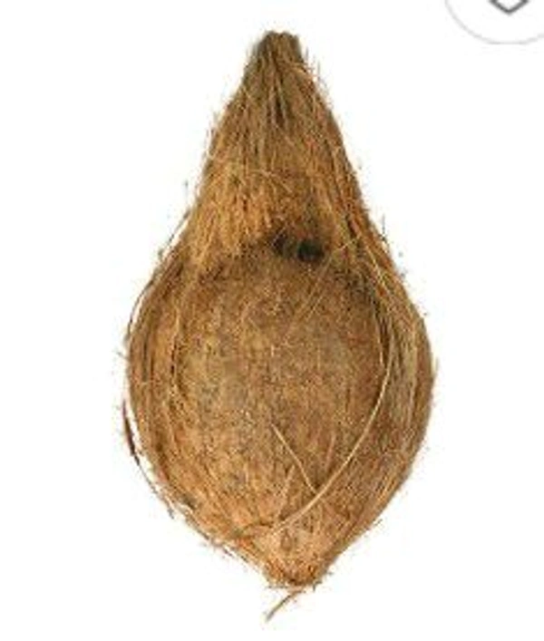 Farm Fresh Coconut 1pcs.