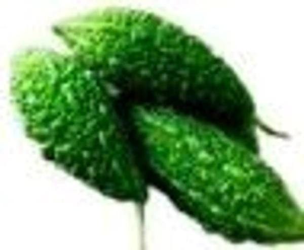 Farm Fresh Bitter Gourd / करेला  500gm.