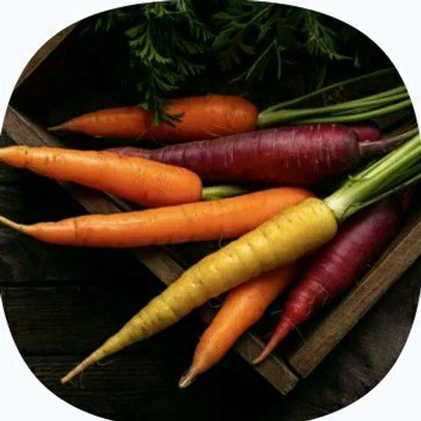 Farm Fresh Carrot / Gajar  500gm.
