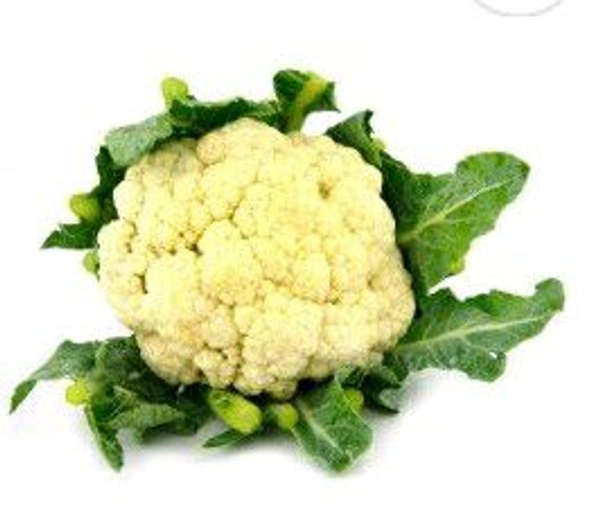 Farm Fresh Cauliflower / Gobhi 1pc.