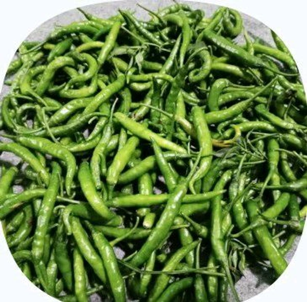 Farm Fresh Chilli Green 100gm.