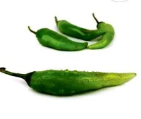 Farm Fresh Chilli Green 100gm.