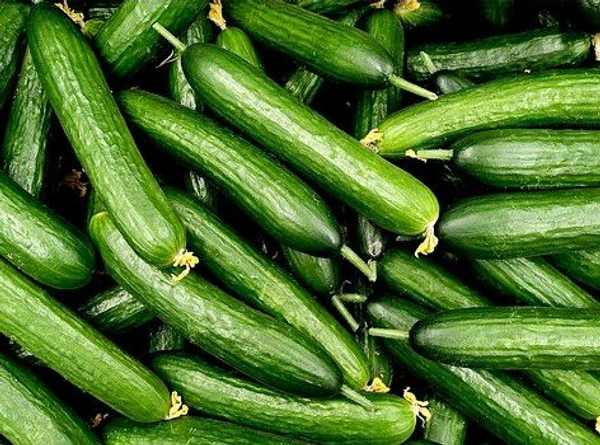 Farm Fresh Cucumber Green / खीरा 500gm.