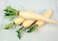 Farm Fresh Radish /Mooli  500gm.