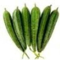 Farm Fresh Ridge Gourd /तोरी / तोरई 500gm.