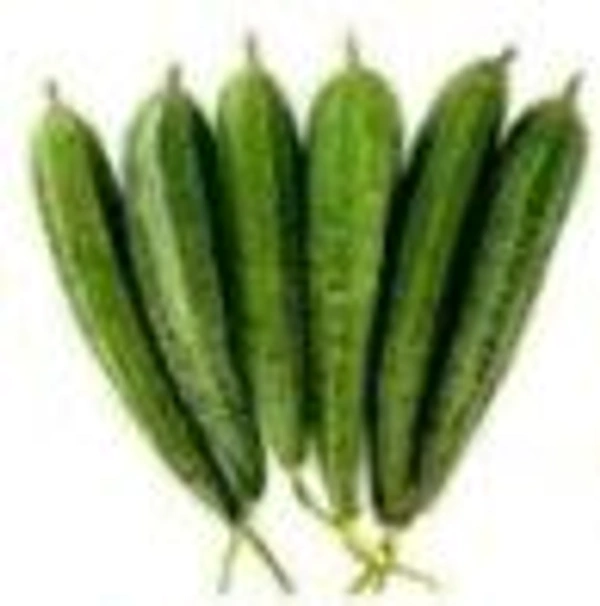 Farm Fresh Ridge Gourd /तोरी / तोरई 500gm.