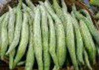 Farm Fresh Snake Gourd 500gm.