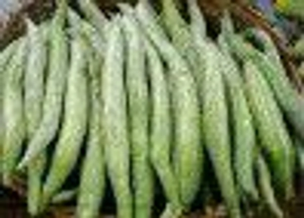 Farm Fresh Snake Gourd 500gm.