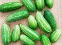 Farm Fresh Ivy Gourd/Kundri/Tindora 500gm.